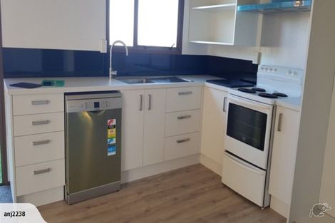 Photo of property in 132 Glenpark Avenue, Maryhill, Dunedin, 9011