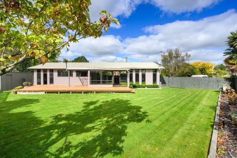 Photo of property in 8 Dalzien Place, Feilding, 4702
