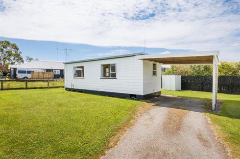 Photo of property in 101 Tutaenui Road, Marton, 4710