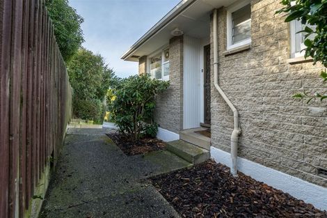 Photo of property in 92a Eglinton Road, Mornington, Dunedin, 9011