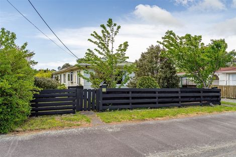Photo of property in 21a Wallace Street, Featherston, 5710