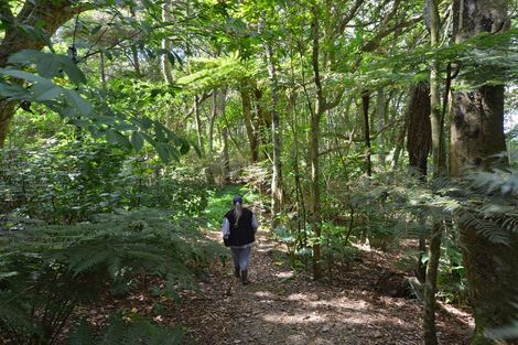 Photo of property in 356 Old Bay Road, Oromahoe, Kaikohe, 0472