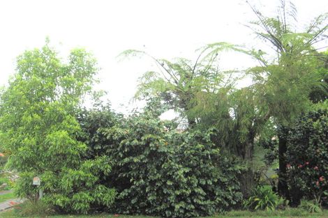 Photo of property in 12 Sedgewick Road, Opotiki, 3122