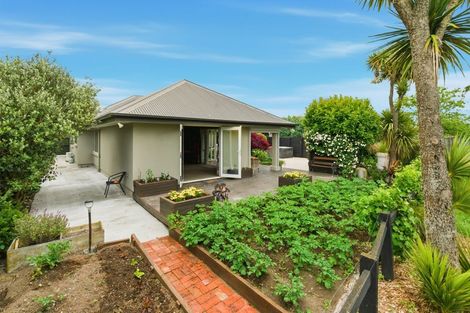 Photo of property in 8 Matangi Street, Hei Hei, Christchurch, 8042
