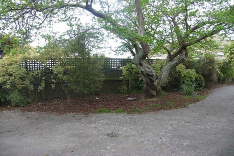 Photo of property in 88 Florence Avenue, Palmerston North, 4414