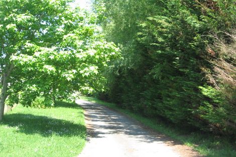 Photo of property in 223 Ross Road, Whakamarama, Tauranga, 3179