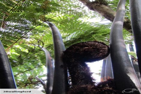 Photo of property in 332d North Beach Road, Point Elizabeth, Greymouth, 7802