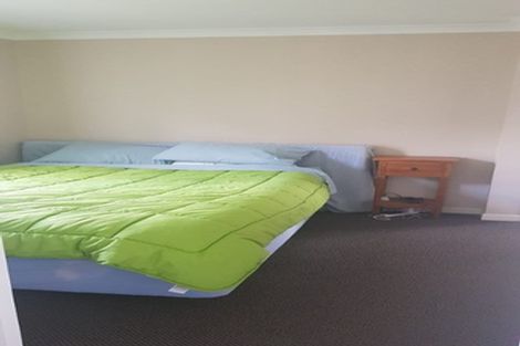 Photo of property in 168 Barkers Road, Methven, Rakaia, 7782