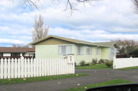 Photo of property in 1 Taupo Terrace, Feilding, 4702