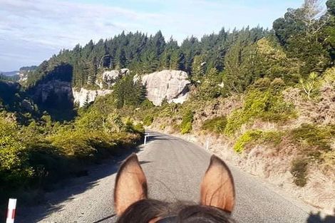 Photo of property in 4942 Hampden-palmerston Road, Bushey, Palmerston, 9482