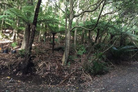 Photo of property in 16 Waikarekare Lane, Karekare, Auckland, 0772