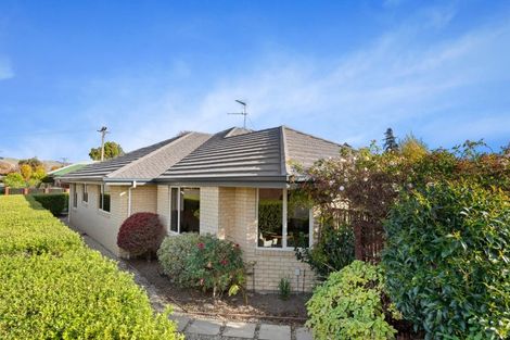 Photo of property in 44 Percy Street, Blenheim, 7201