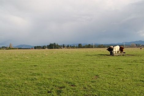 Photo of property in 2 Hayfield Terrace, Cust, Rangiora, 7471