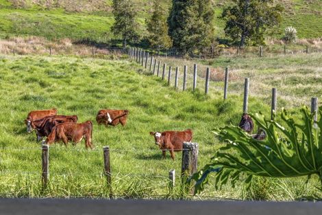 Photo of property in 509 Old Woodcocks Road, Kaipara Flats, Warkworth, 0981