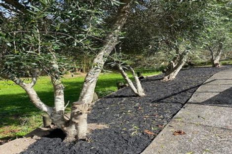 Photo of property in 6 Palmer Avenue, Glen Eden, Auckland, 0602