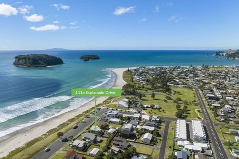 Photo of property in 111a Esplanade Drive, Whangamata, 3620