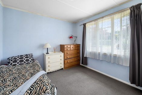 Photo of property in 19 Nikau Street, Springfield, Rotorua, 3015