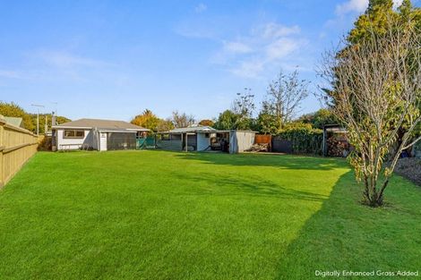 Photo of property in 8 Daphne Street, Outer Kaiti, Gisborne, 4010