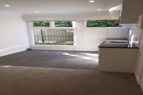 Photo of property in 1/2 Westwood Terrace, Saint Marys Bay, Auckland, 1011