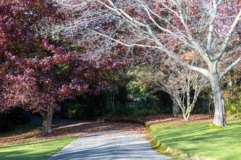 Photo of property in 33 Ribbonwood Road, Geraldine Downs, Geraldine, 7991