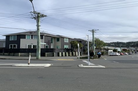 Photo of property in 1 Luxford Street, Berhampore, Wellington, 6023