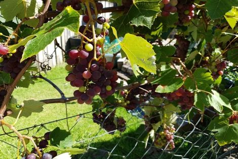 Photo of property in 114 Harvey Crescent, Thames, 3500