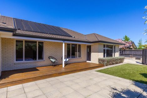 Photo of property in 17 Puketea Place, Redwoodtown, Blenheim, 7201