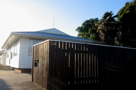 Photo of property in 113 Featherston Street, Palmerston North, 4410