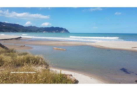 Photo of property in 35 Waitangi Street, Gisborne, 4010