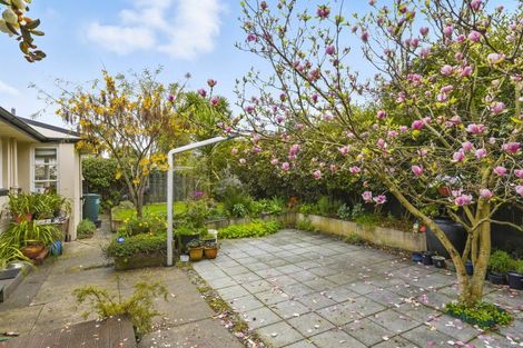 Photo of property in 79 Kawiu Road, Levin, 5510