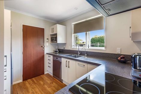 Photo of property in 44 Franklin Avenue, Hokowhitu, Palmerston North, 4410