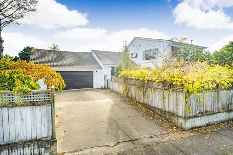 Photo of property in 118 Fitzroy Street, Terrace End, Palmerston North, 4410