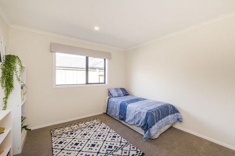 Photo of property in 9 Middleton Way, Ashhurst, 4810