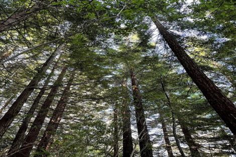 Photo of property in 1863 Takaka-collingwood Highway, Milnthorpe, Collingwood, 7182