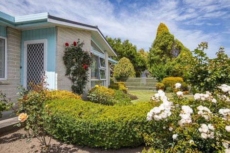 Photo of property in 6 Takahe Street, Masterton, 5810