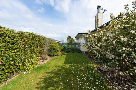 Photo of property in 14 Elizabeth Street, Feilding, 4702