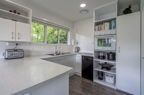 Photo of property in 24 Neumann Street, Kawakawa, 0210