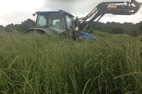 Photo of property in 492 Wairere Road, Paparoa, 0571