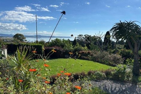 Photo of property in 289 Pahoia Road, Whakamarama, Tauranga, 3172