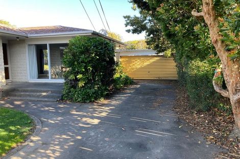 Photo of property in 46b Copeland Street, Hutt Central, Lower Hutt, 5011