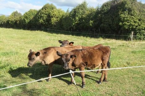 Photo of property in 12 Faydon Close, Ohau, Levin, 5570