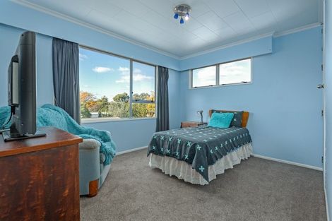 Photo of property in 50 Holdsworth Avenue, Milson, Palmerston North, 4414