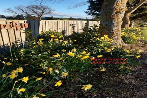 Photo of property in 167 Heretaunga Road, Maharahara, Dannevirke, 4972