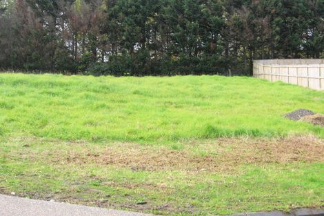 Photo of property in 12 Drumquin Rise, Dannemora, Auckland, 2016