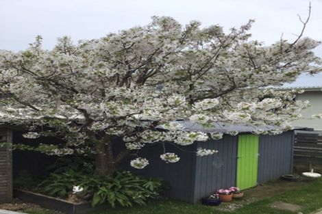 Photo of property in 97 Marine Parade, Paraparaumu Beach, Paraparaumu, 5032