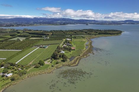 Photo of property in 441 Matahui Road, Aongatete, Katikati, 3181