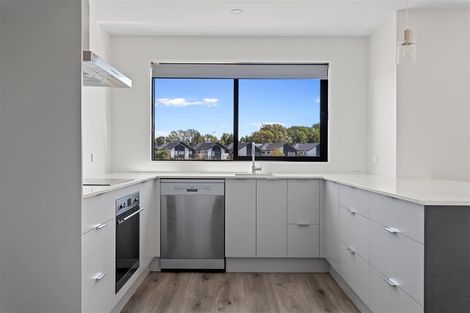 Photo of property in 43 Streamside Terrace, Kaiapoi, 7630