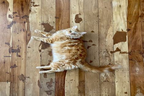 Photo of property in 86 Wharf Road, Te Atatu Peninsula, Auckland, 0610