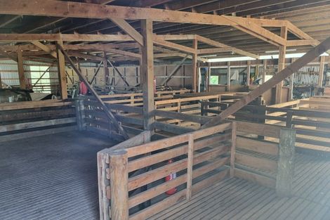 Photo of property in 531 Coal Gully Road, Glenledi, Milton, 9292