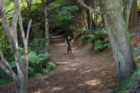 Photo of property in 24 Cotswold Place, Ohauiti, Tauranga, 3112